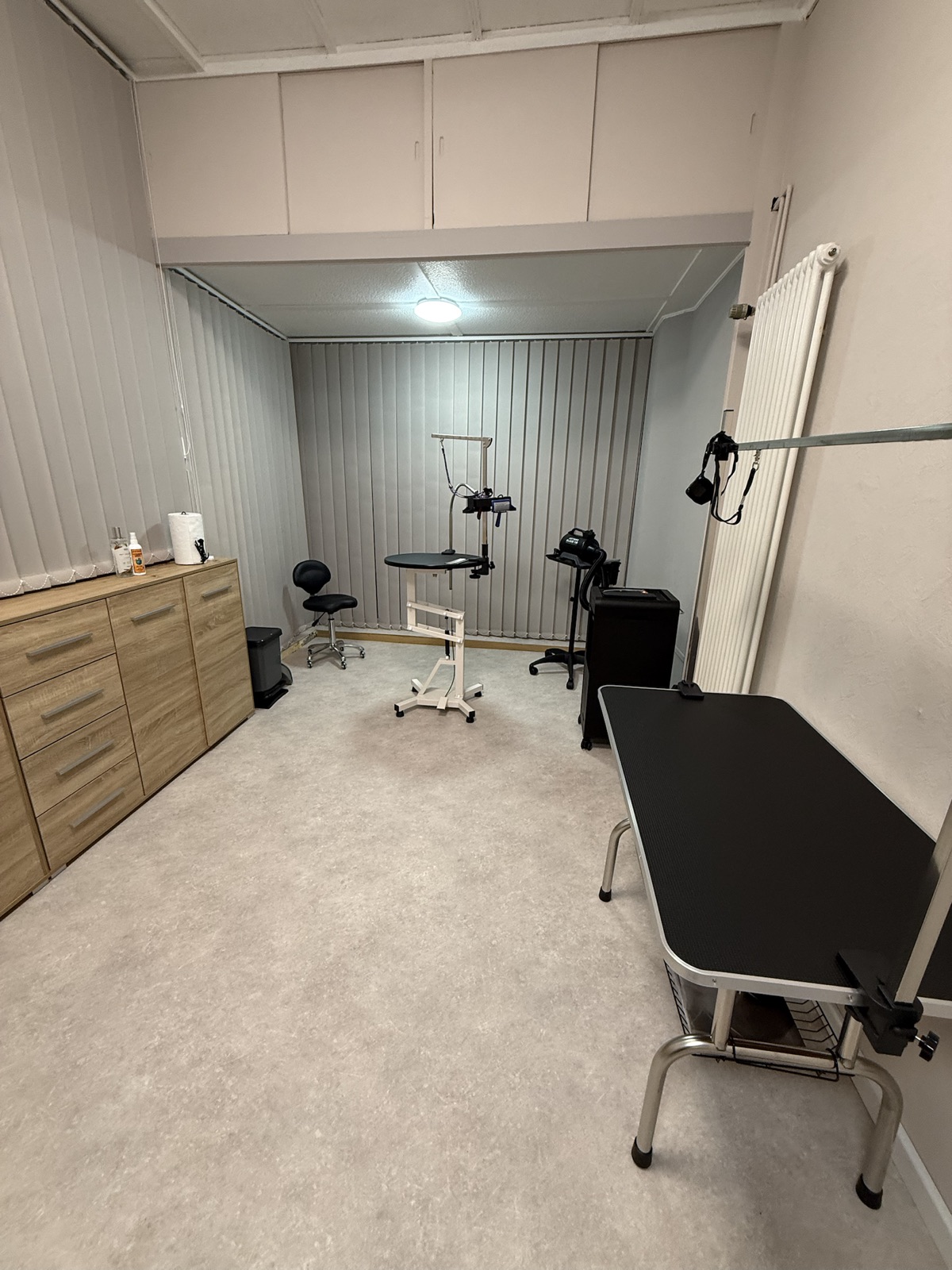 Pflegebereich im Salon Fellzauber